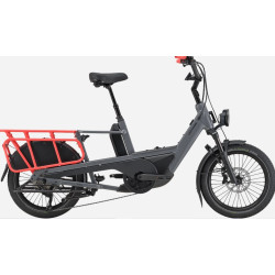 CANNONDALE E-CARGO WAGEN NEO 2